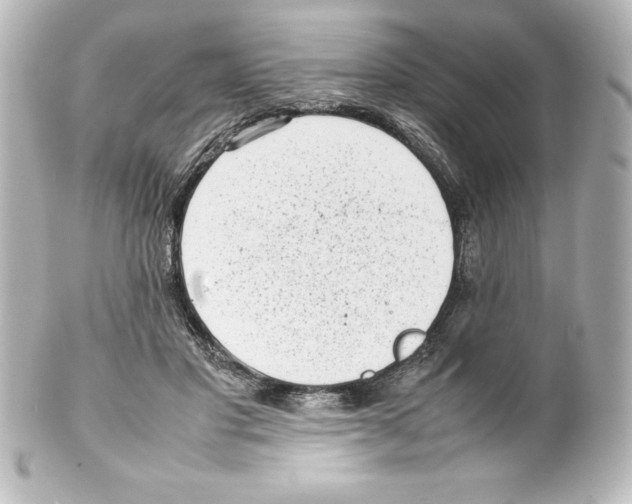 X0000100190501200806271622