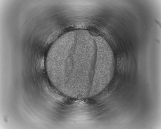 X0000100190502200806271622
