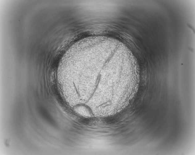 X0000100190503200806271622