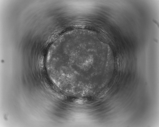 X0000100190504200806271622