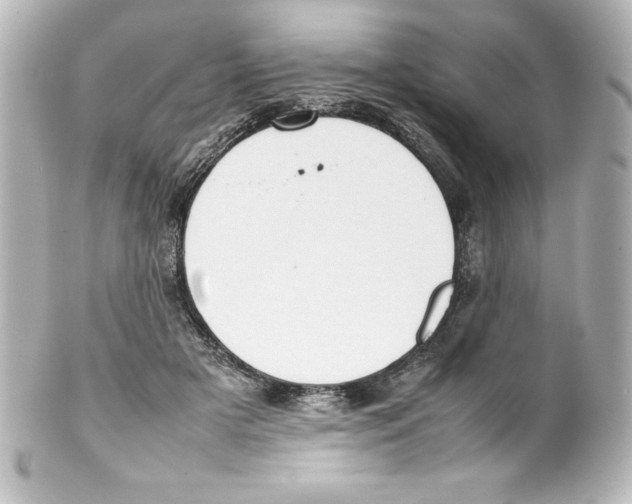 X0000100190505200806271622