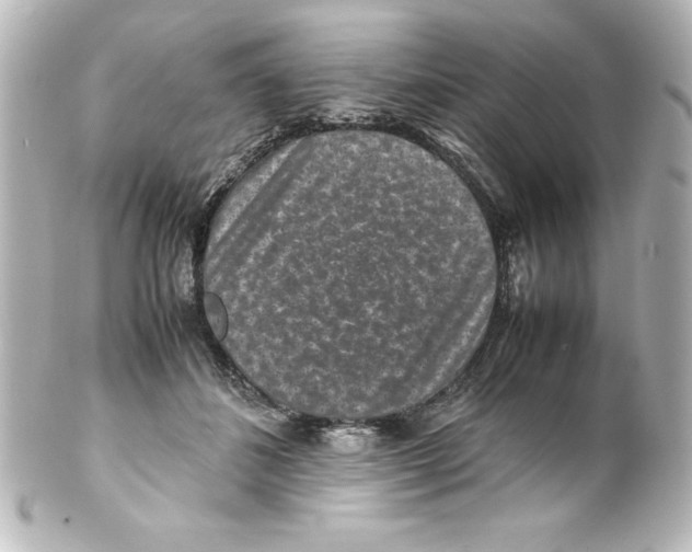 X0000100190508200806271622