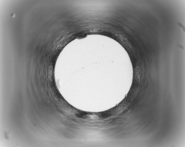 X0000100190509200806271622