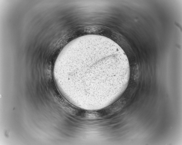 X0000100190510200806271622