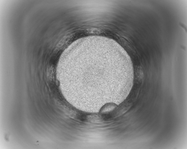 X0000100190511200806271622