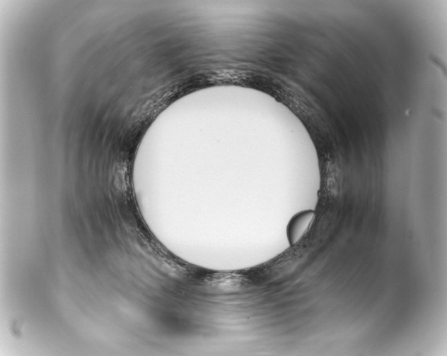X0000100190514200806271622