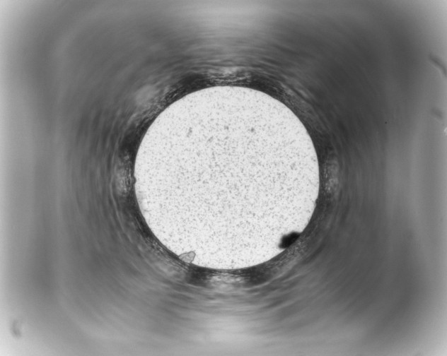 X0000100190515200806271622