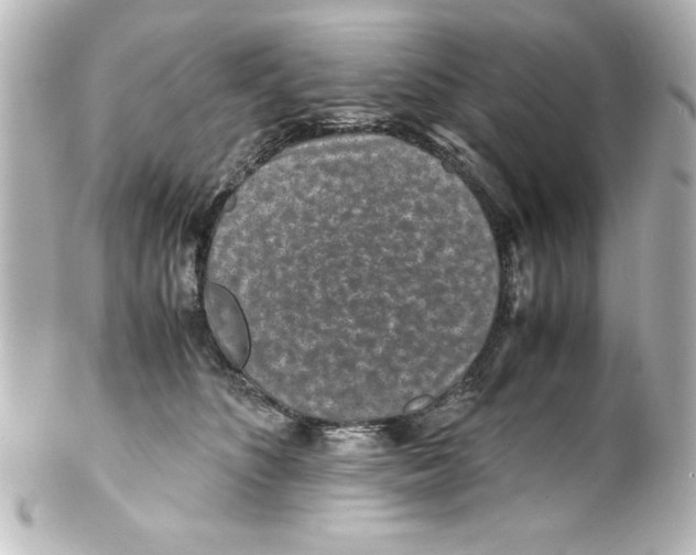 X0000100190516200806271622