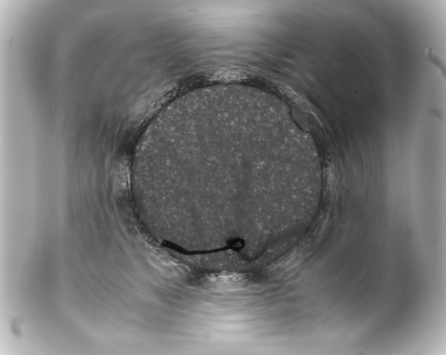 X0000100190517200806271622