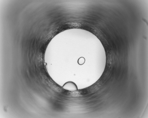 X0000100190518200806271622