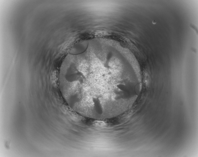 X0000100190519200806271622