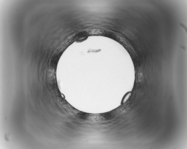X0000100190521200806271622