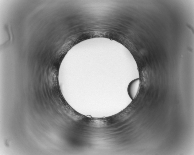 X0000100190522200806271621