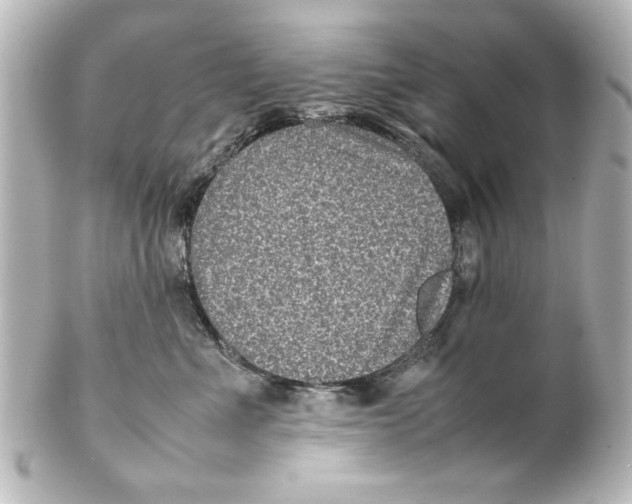 X0000100190523200806271621