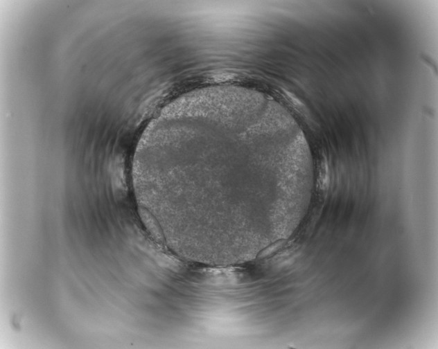 X0000100190524200806271621