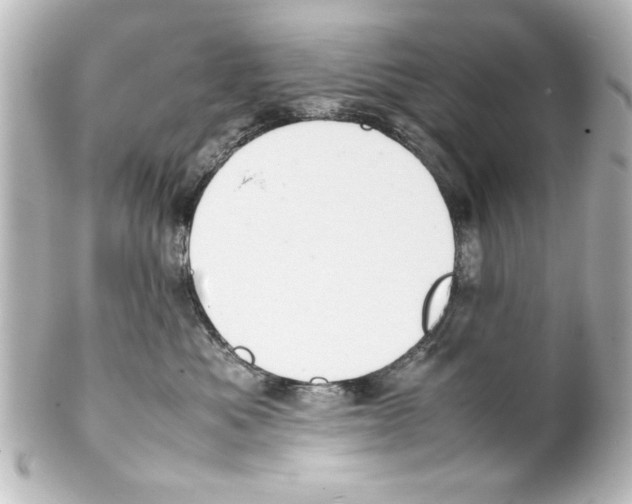 X0000100190525200806271621