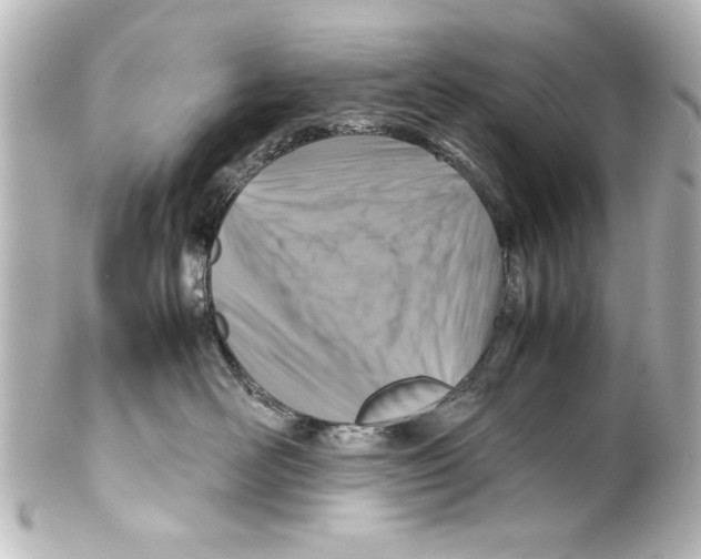X0000100190526200806271621