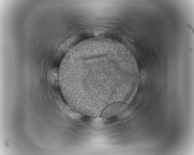 X0000100190527200806271621