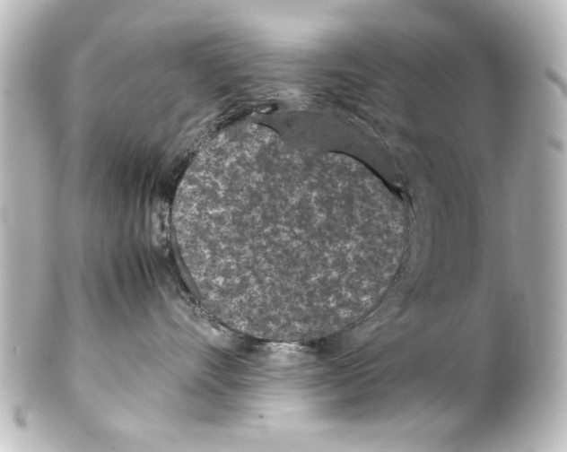 X0000100190528200806271621