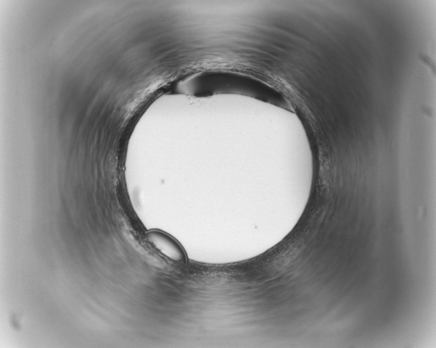 X0000100190530200806271621