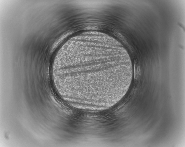 X0000100190531200806271621