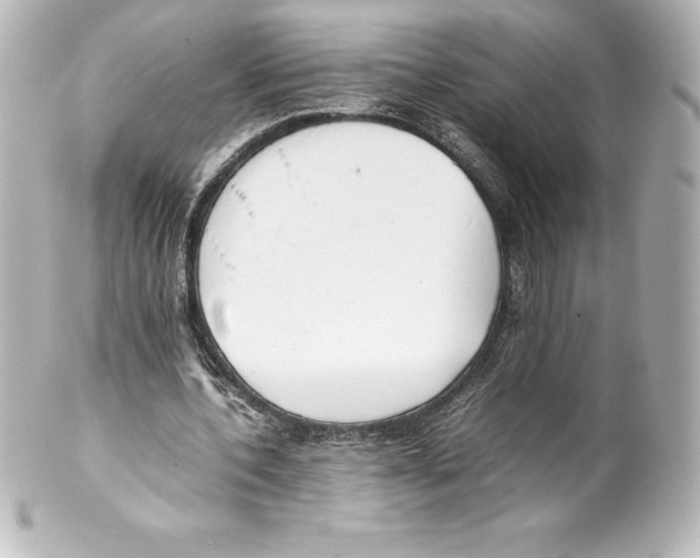 X0000100190532200806271621