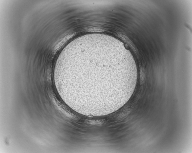 X0000100190533200806271621
