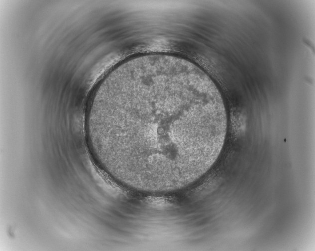X0000100190534200806271621