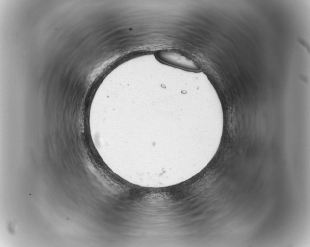 X0000100190536200806271621