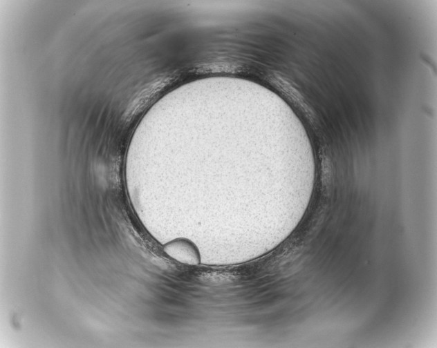 X0000100190537200806271621