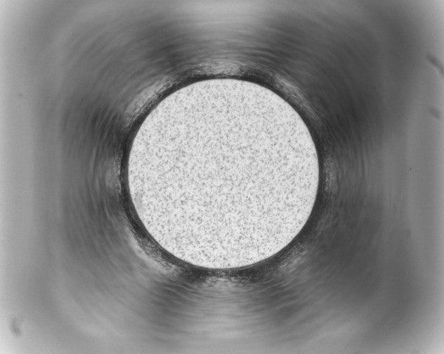 X0000100190538200806271621