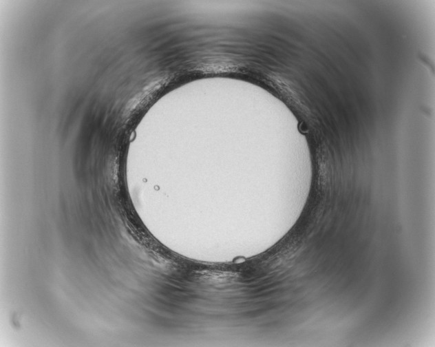X0000100190539200806271621
