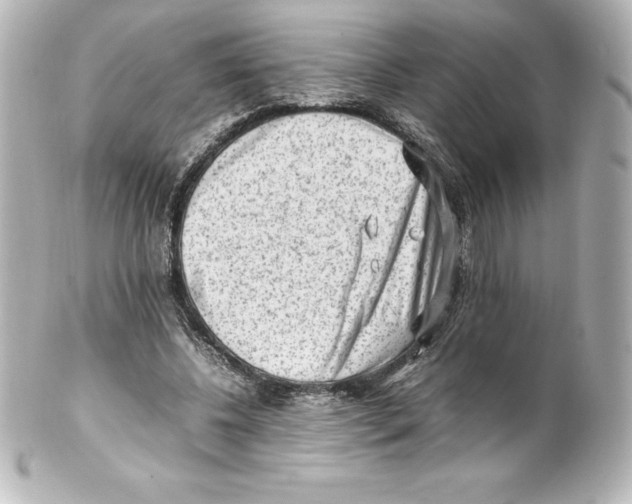 X0000100190540200806271621