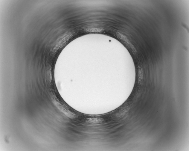 X0000100190541200806271621