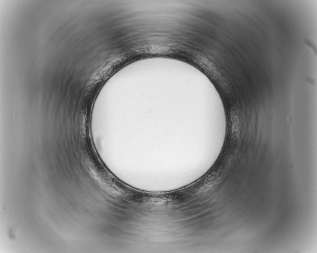 X0000100190542200806271621
