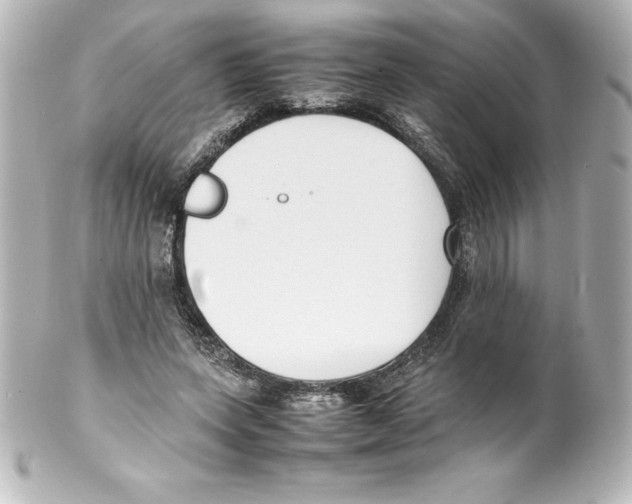 X0000100190543200806271621