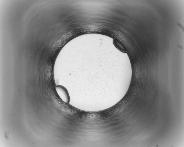 X0000100190546200806271621