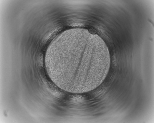 X0000100190547200806271621