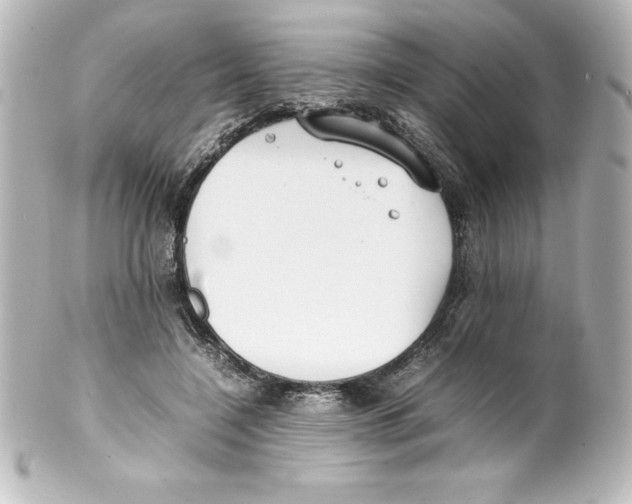 X0000100190548200806271621