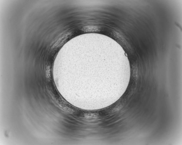 X0000100190549200806271621