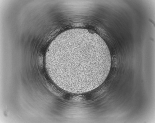 X0000100190550200806271621