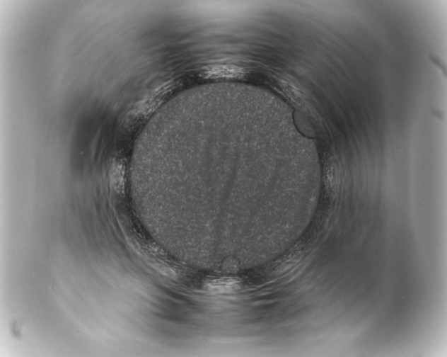 X0000100190551200806271621