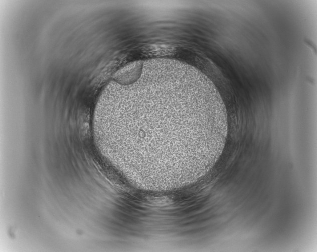 X0000100190553200806271621