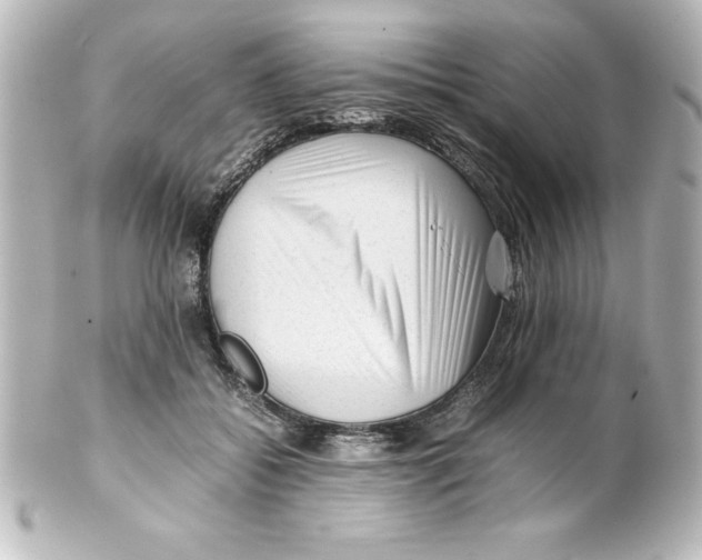 X0000100190556200806271621