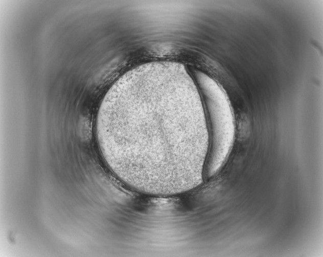 X0000100190558200806271621