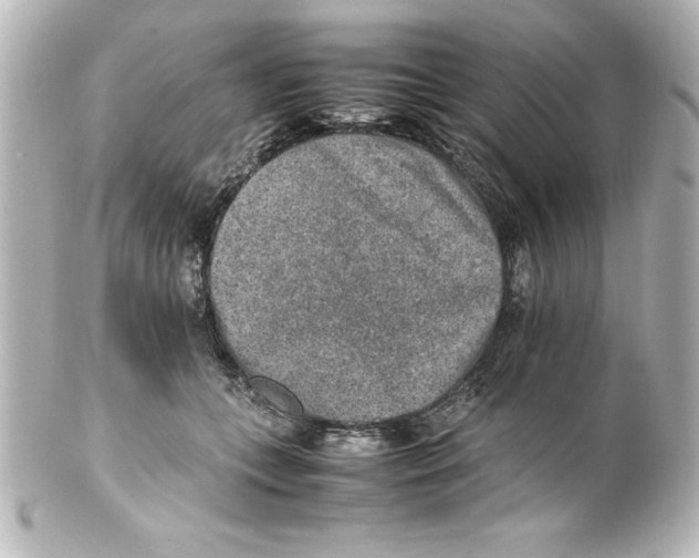 X0000100190559200806271621