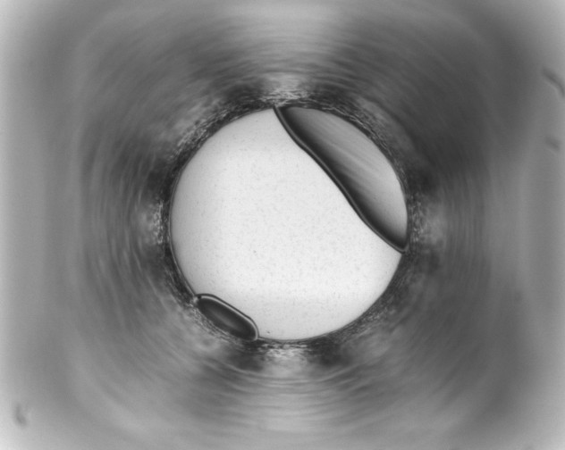 X0000100190560200806271621