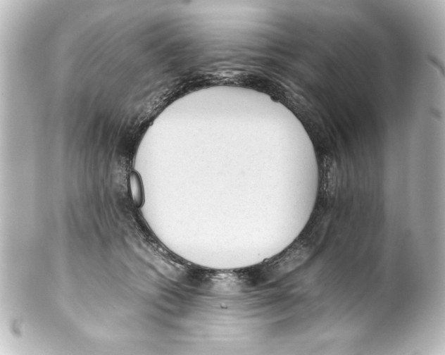 X0000100190562200806271621