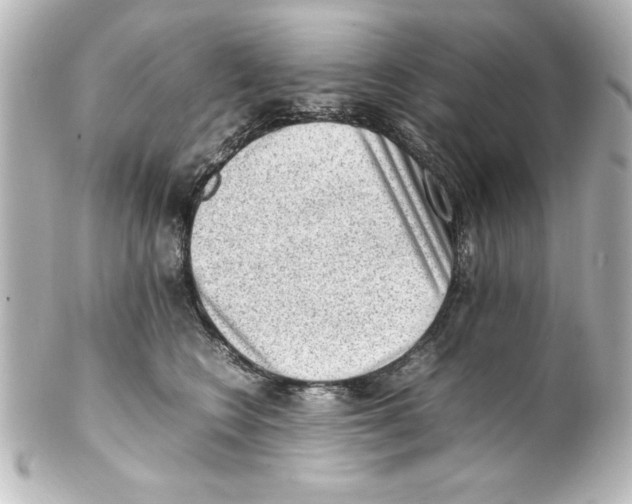X0000100190566200806271621
