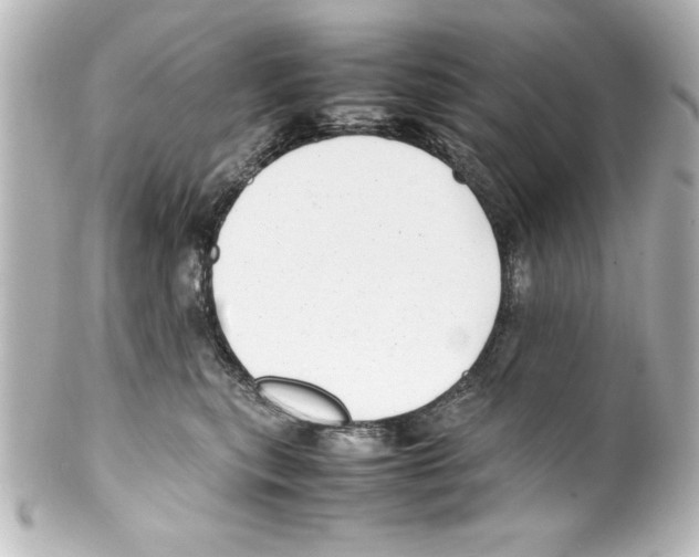 X0000100190567200806271621